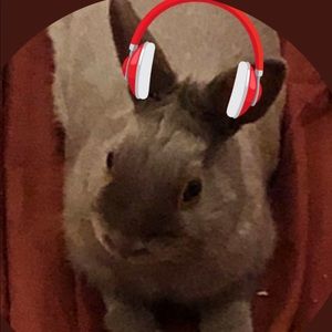 Meet your Posher, Kenia